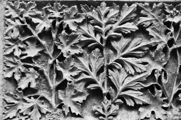 Ornamento a forma di foglie scolpite nella pietra . — Foto Stock