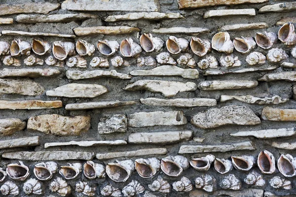 Pared forrada con conchas, con textura de fondo — Foto de Stock