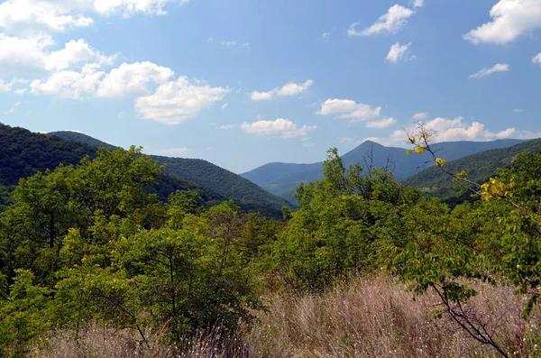 Journée Été Dans Les Montagnes — Photo