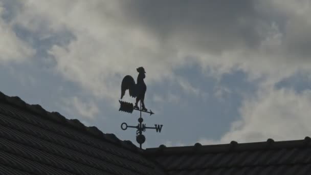 haute définition coq
