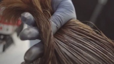 Applying Hair Dye With Brush — Stock Video © okvideo #143613553 Applying Hair Dye With Brush — Stock Video © okvideo #143613553