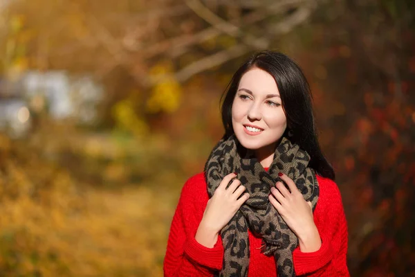 Retrato Otoño Una Joven Morena Atractiva Suéter Rojo — Foto de Stock