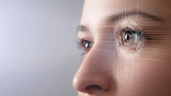 Concepto Biométrico Sistema Reconocimiento Facial Reconocimiento Facial Reconocimiento Del Iris — Foto de Stock