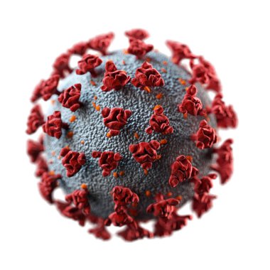 Coronavirus COVID-19 beyaz üzerinde izole edildi