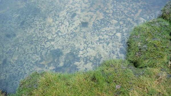 İzlanda ve çim temiz su