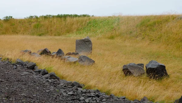 Çimenlerdeki taşlar