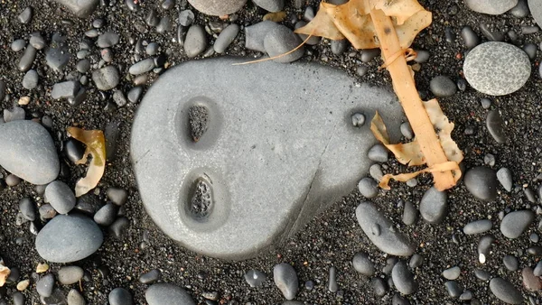 Sahilde taşlı uzaylı