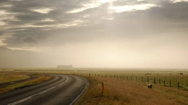 Yeni gün yolu. İzlanda'daki sabah