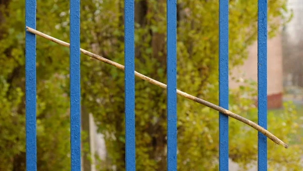 Bir ağaç çit bir kılavuzda yapışkanlık dışarı kuru bir dal.