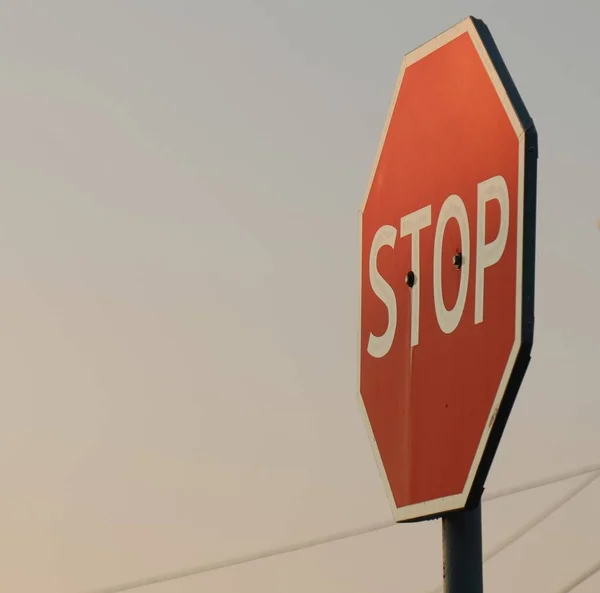 Road sign STOP illuminated by sunset.