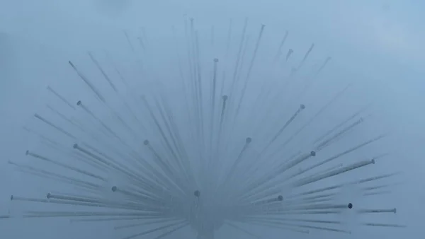 Su sıçramalarına tabakası gizli bir çeşme alüvyon.