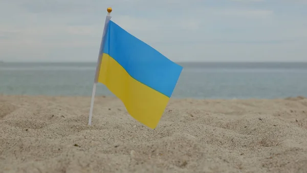 Прапор України Стоячи Піску Тлі Моря — стокове фото
