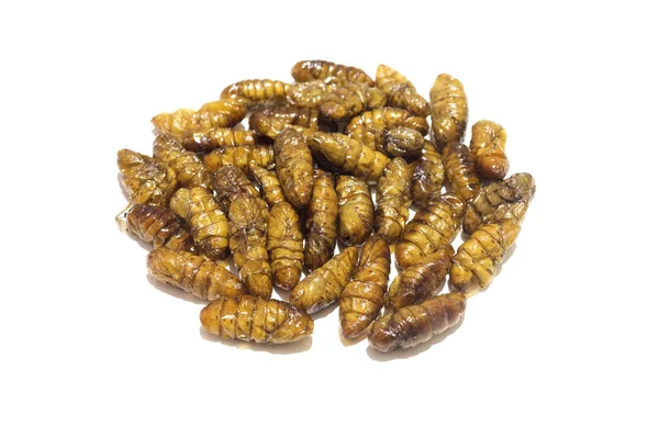 Fried silkworms pupa — Stok fotoğraf