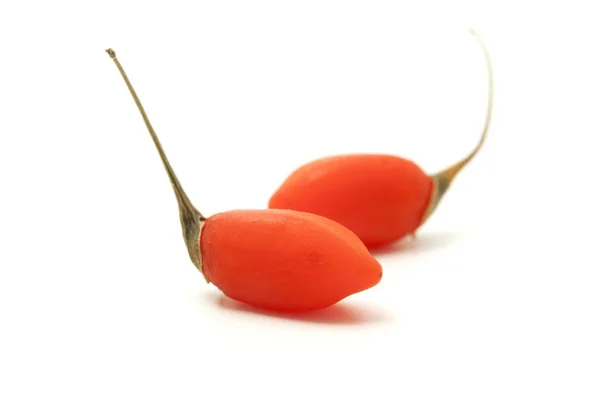 Fresh goji berries — Stock Photo, Image