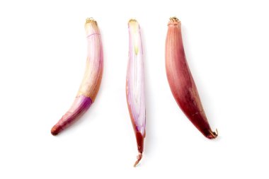 Azerbaycan Hovsan soğan