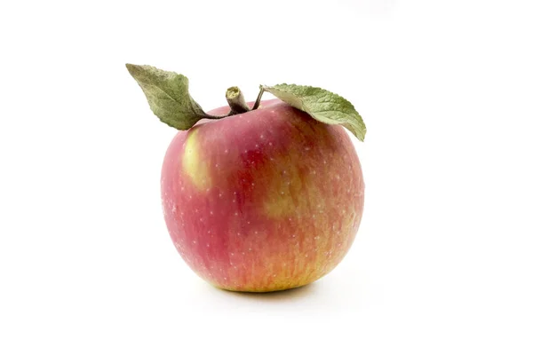 Uma única maçã vermelha — Fotografia de Stock