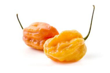 Fatalii gurme Yapboz