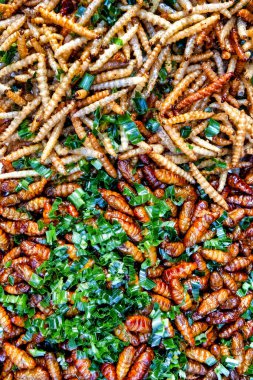 Tırtıllar ve ipek böcekleri.