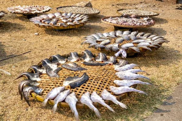 Рыба Оставленная Сушки Лопбури Таиланд — стоковое фото