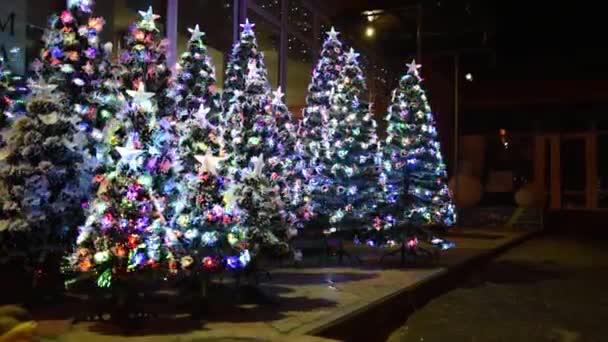 Kerstmarkt. Kunstmatige kerstbomen met bloemenslingers, kerstbomen schitteren met kleurrijke lichtjes. — Stockvideo
