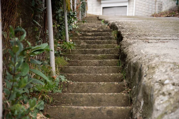 Una vieja escalera de hormigón cubierta de musgo verde. Vieja escalera en la calle de la ciudad vieja. Escaleras que suben . —  Fotos de Stock
