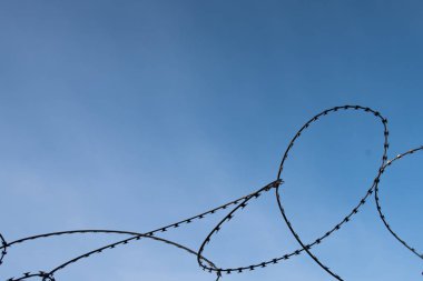 Mavi gökyüzüne karşı dikenli bir düğüm. Mesaj için yer var. Kavram.