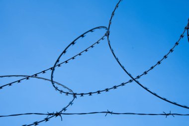 Mavi gökyüzüne karşı güzel kıvrımlı dikenli tel. Kapat..