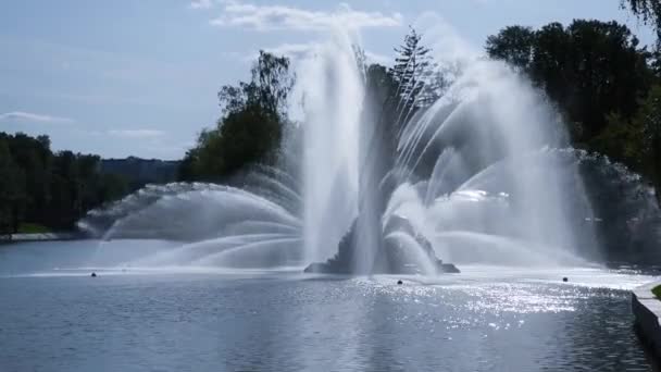Vodní paprsky Velké fontány se třpytí ve slunečních paprscích na pozadí. Fontána se nachází na vodě. Slunečný letní den. — Stock video