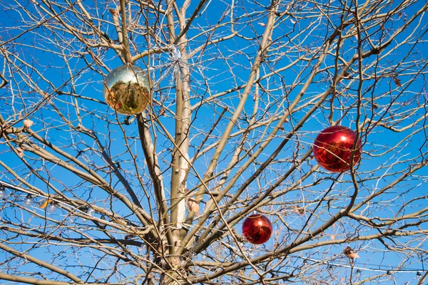 Un arbre sans feuilles, décoré de grandes boules de Noël. Contre un ciel bleu — Photo