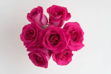 Beyaz arka planda bir buket pembe gül. Yukarıdan görünüşü.