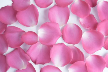 Bir sürü pembe gül yaprağı. Yukarıdan manzara. Geçmiş, kartpostal, romantizm, düğün davetiyesi.