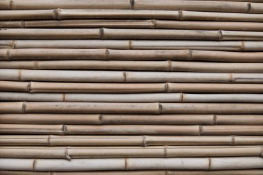 Bambu dokusu. Kuru bambu sapları. yatay konumda.