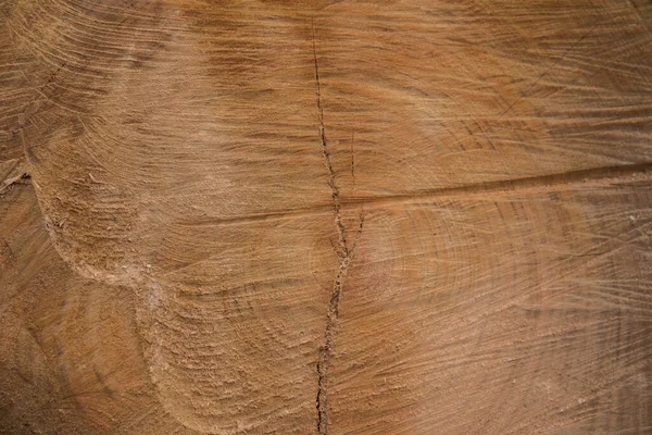 A sawn-off tree. The texture of the wood. Cross section of spruce and larch lumber. Close-up. — Stock Photo, Image