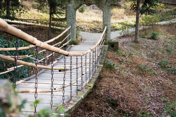Suspended flexible wooden bridge. There are fences and handrails.