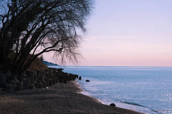 Sonnenuntergang oder Sonnenaufgang über dem Meer, schöne Pastellfarben. Tetrapod und der Strand. — Stockfoto