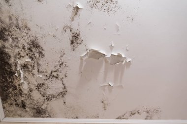 Kötü havalandırma ve yüksek nem nedeniyle tavan veya duvarda siyah küf lekeleri var..