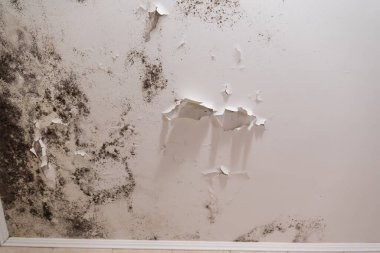 Kötü havalandırma ve yüksek nem nedeniyle tavan ya da duvarda siyah küf lekeleri var. Zarar