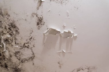 Kötü havalandırma ve yüksek nem nedeniyle tavan veya duvarda siyah küf lekeleri var..