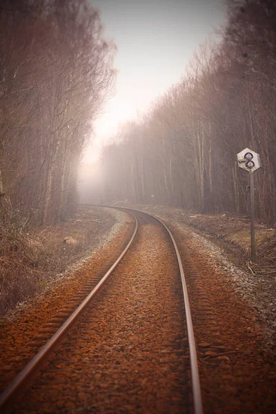 Railroad track running through a row of trees in a misty and reddish landscape