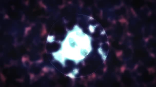 Τμήμα κυττάρων κάτω από το μικροσκόπιο. Μπλε χρώμα. 2d Κινούμενα σχέδια. — Αρχείο Βίντεο