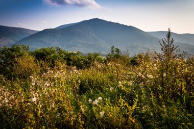 Karpat Dağları, Ukrayna, dağ panoramik manzarası güzel yaz görünümünde