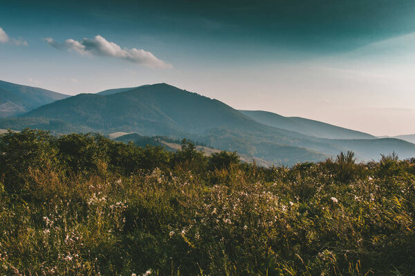 летний вид на Карпаты, Украина, горный панорамный пейзаж
