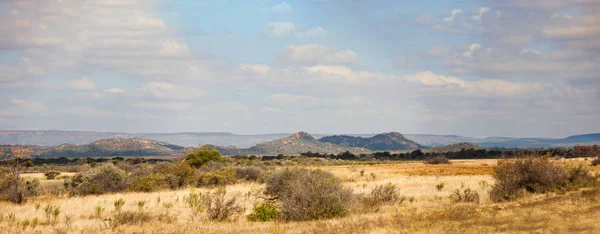 Paisagem típica de arbustos sub-saarianos — Fotografia de Stock