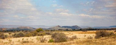 Typical Sub Saharan bushveld landscape   clipart