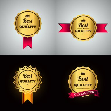 Metin ile kron, ayarla iş logo çelenk, yaprakları yıldız. Vektör çizim  