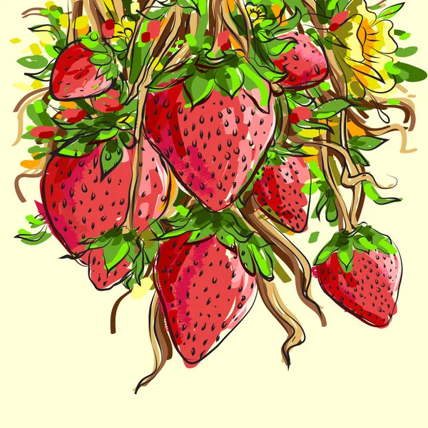 Ilustração Vetorial Colorida Com Frutos Desenhados Mão Morangos Concebidos Para —  Vetores de Stock