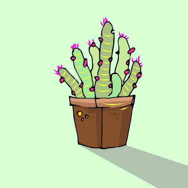 Söt Hand Dras Vektor Cactus Potten Vektorillustration — Stock vektor