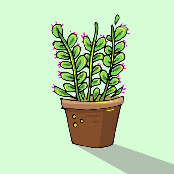 Schattig Hand Getekend Vector Cactus Pot Vectorillustratie — Stockvector