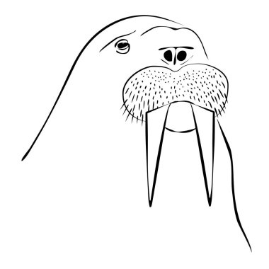 Mors portre kroki çizmek marker, vektör çizim