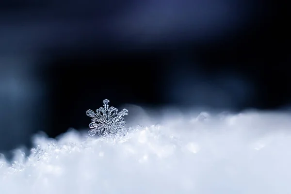 Copos Nieve Cerca Foto Macro Concepto Invierno Frío Belleza Naturaleza — Foto de Stock